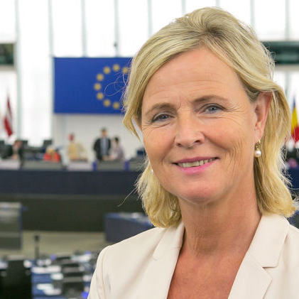 Europarlementariër, Annie Schreijer-Pierik